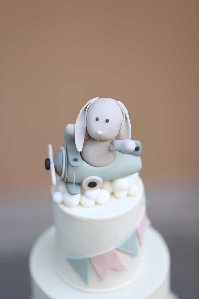 Mira and Abel's special fabulous children's garden 4. picture